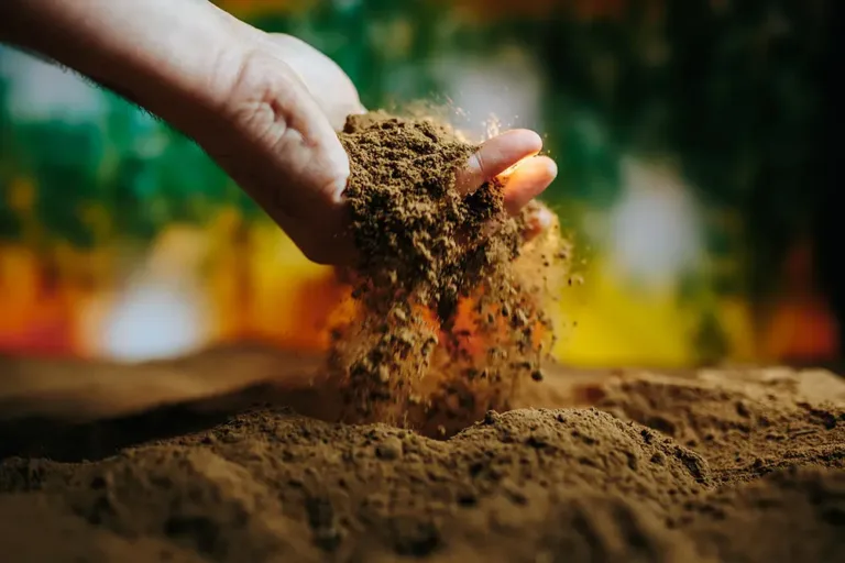 Topsoil vs Compost: Differences & Uses