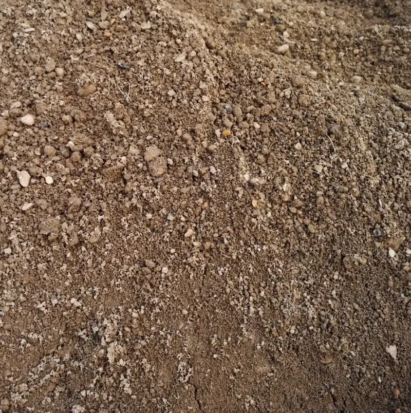soil-tw-web-1-e1757922704259-1